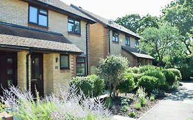 Beautiful 3 Bed Home In The Heart Of New Forest